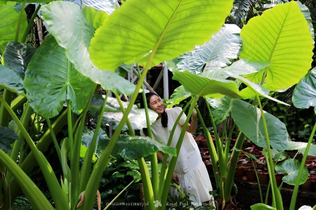 Rajapruek Place Chiang Mai Eksteriør bilde